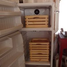 Converting a Refrigerator Into a Root Cellar